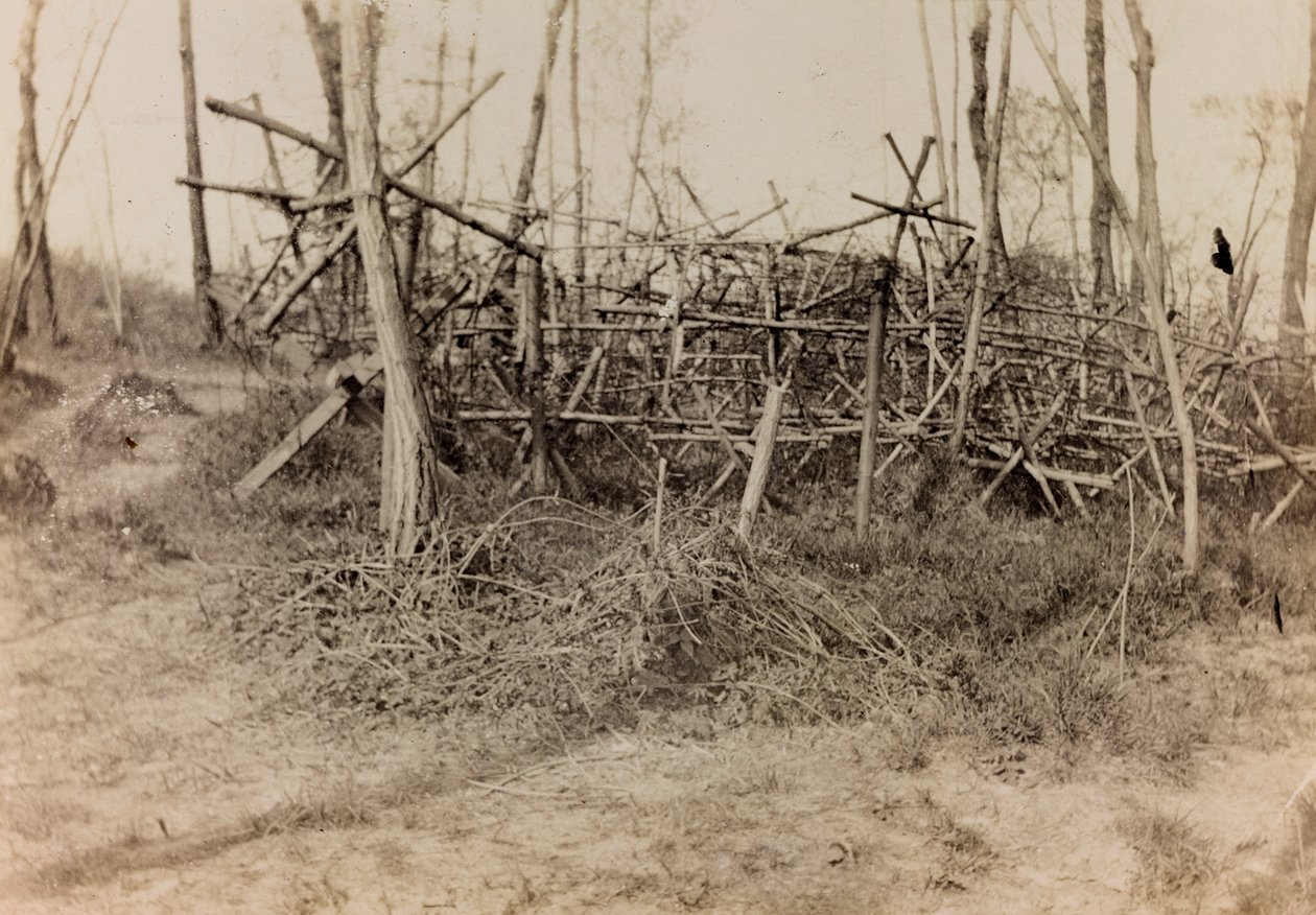 Album della Prima Guerra Mondiale in Friuli-Venezia Giulia: ostacolo difensivo (cavalli di Frisia), 05/1916 da Bertoni Bertoni