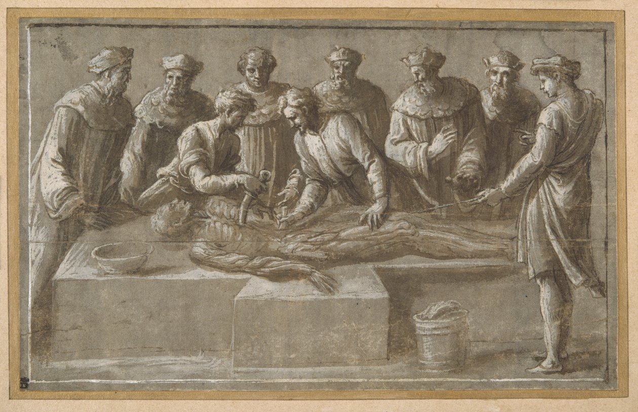 Sei professori di anatomia che dissezionano un cadavere maschile scuoiato (penna e inchiostro marrone con lavaggio marrone e lumeggiatura) da Biagio Pupini
