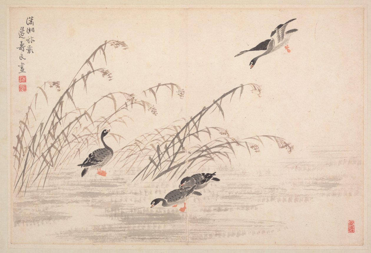 Album di Calligrafia e Dipinti da Bian Shoumin