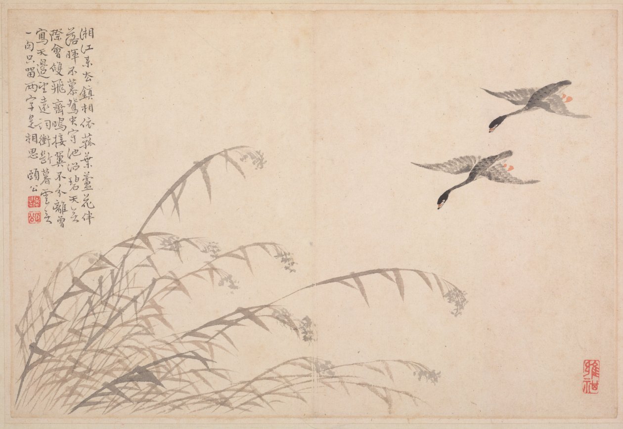 Album di calligrafia e dipinti, XVIII secolo da Bian Shoumin