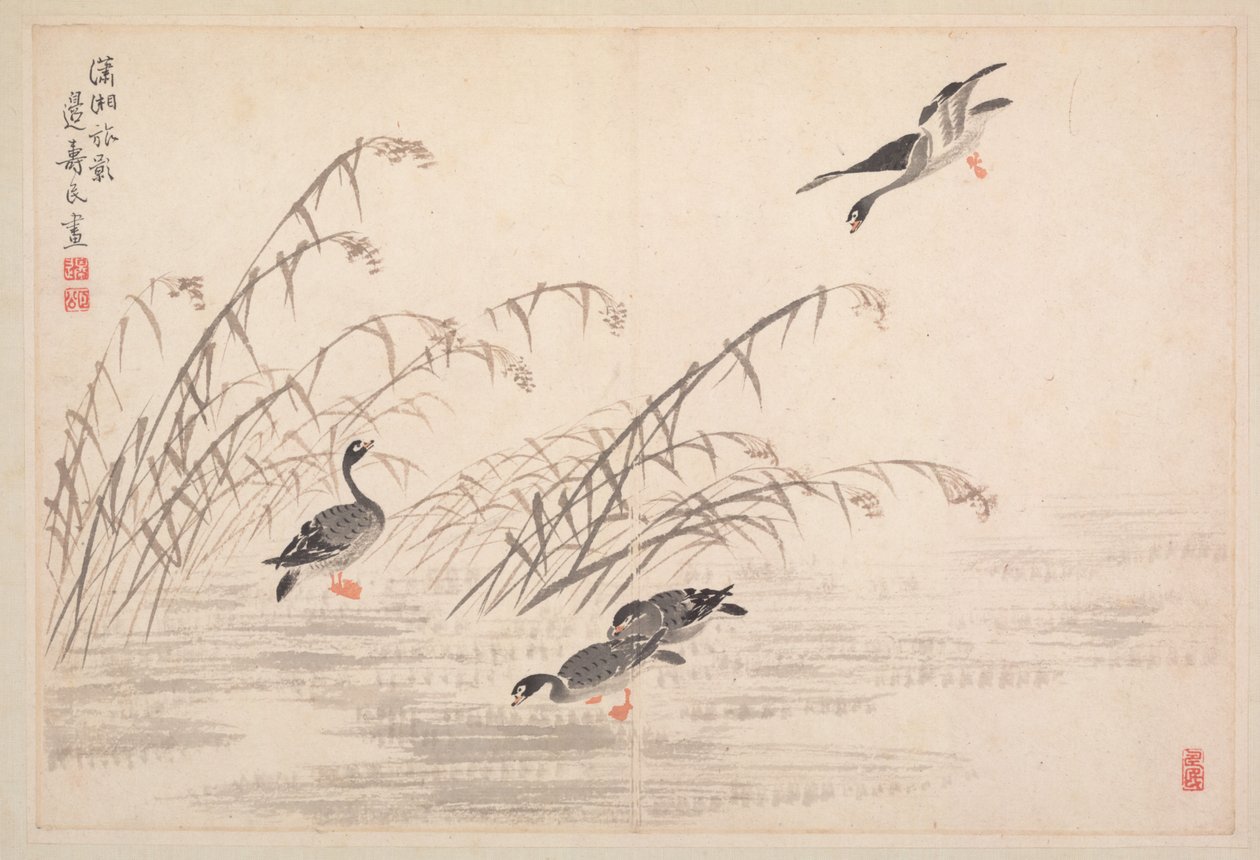 Album di calligrafia e dipinti da Bian Shoumin