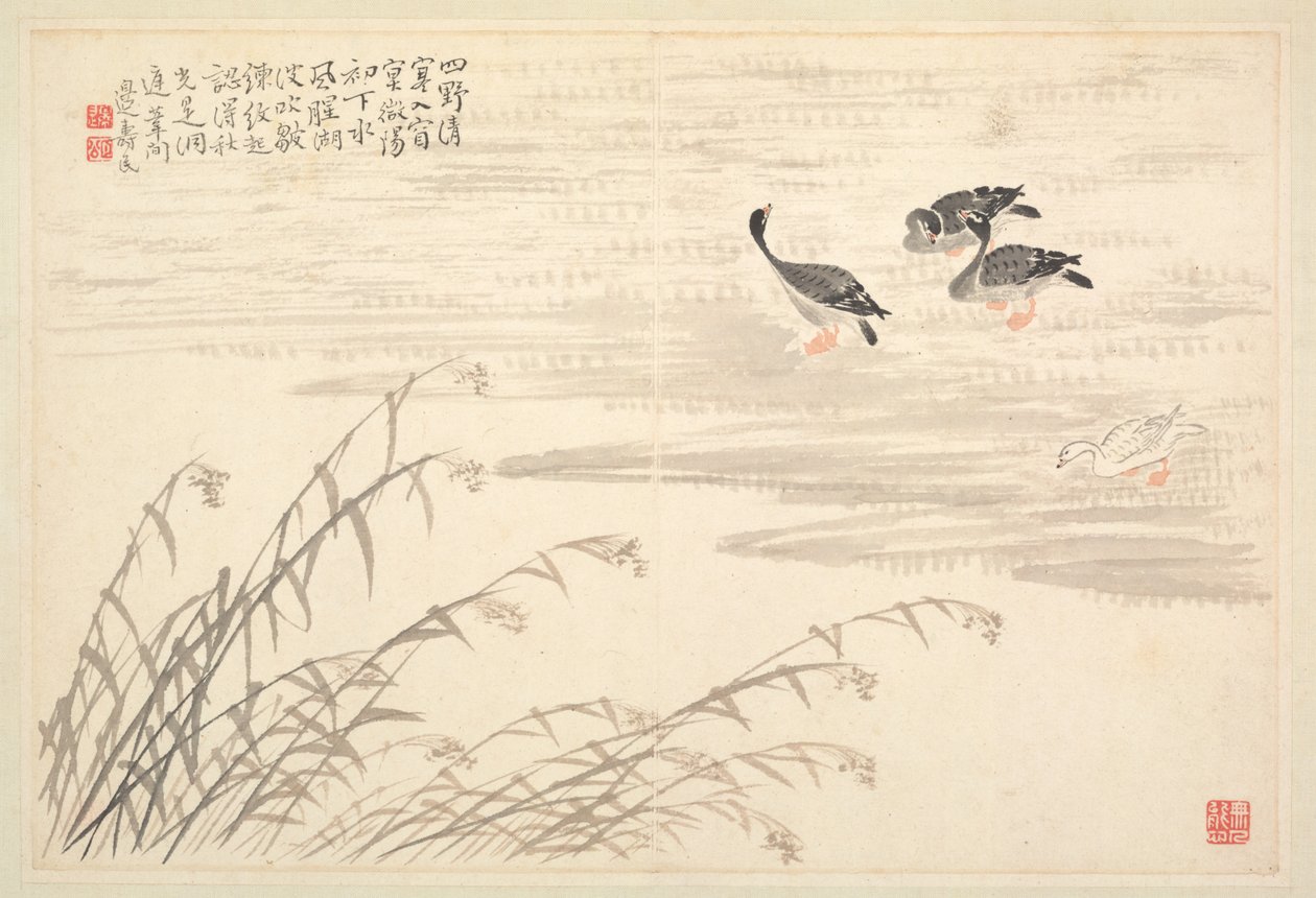 Album di calligrafia e dipinti, XVIII secolo da Bian Shoumin