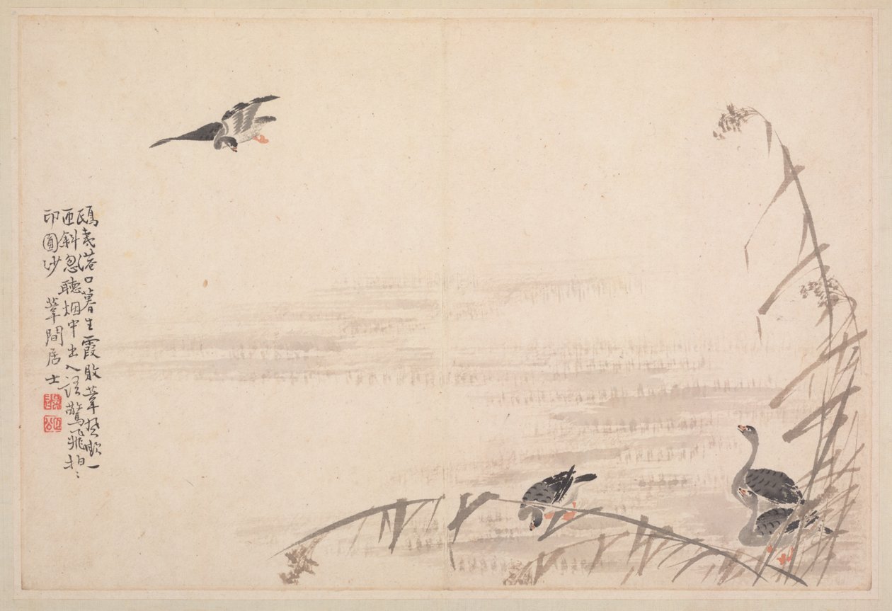 Album di calligrafia e dipinti, XVIII secolo da Bian Shoumin