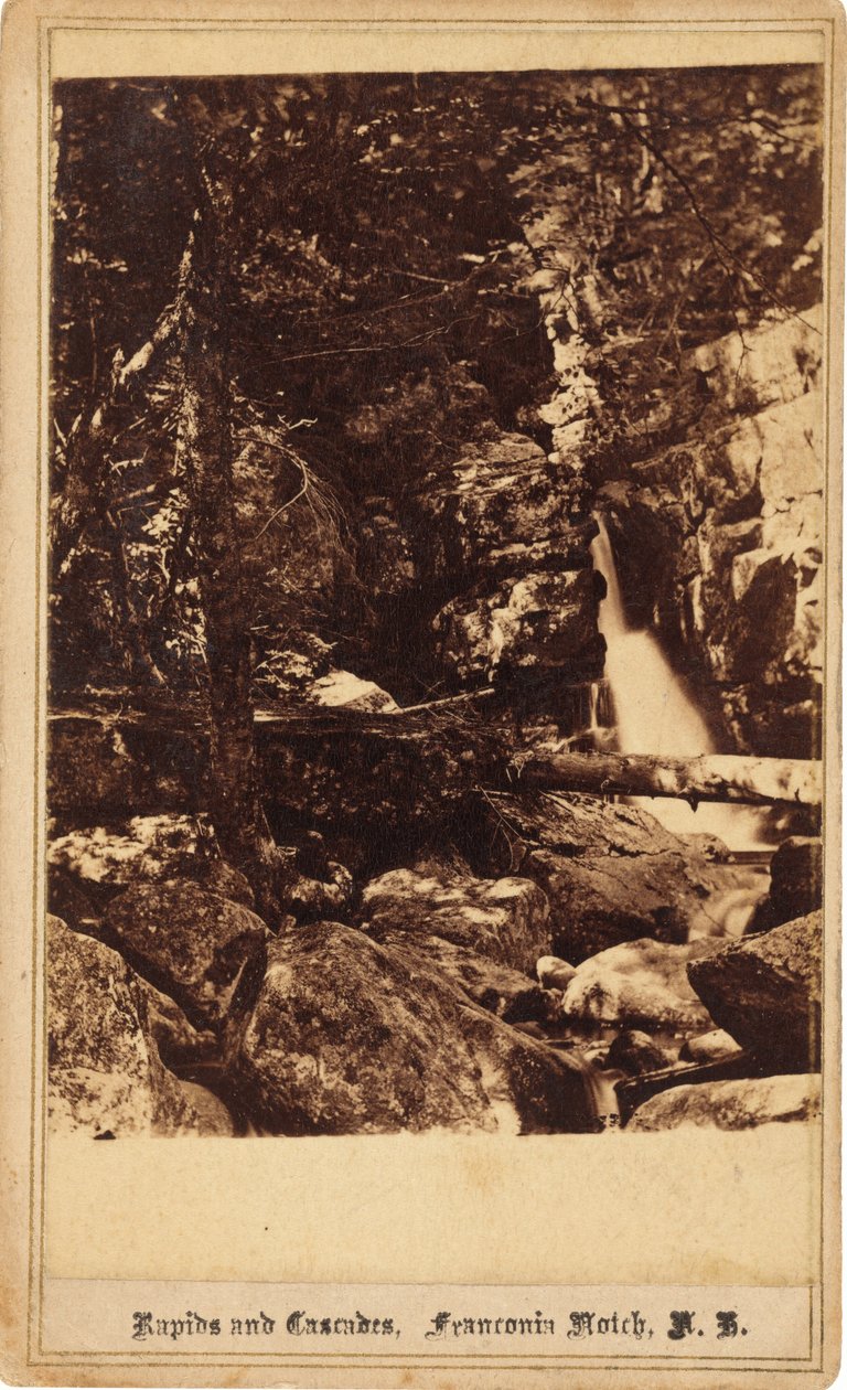 Rapide e cascate, Franconia Notch, New Hampshire da Bierstadt Brothers