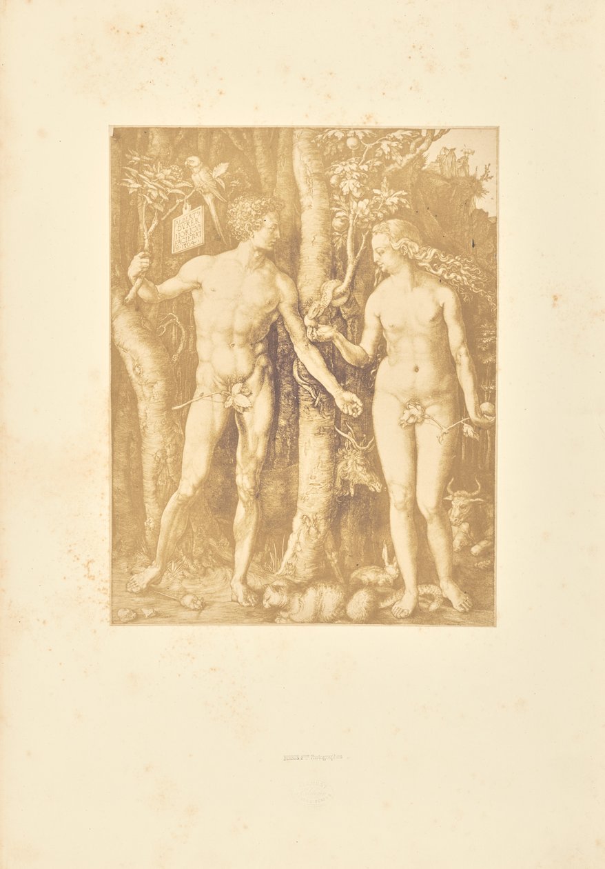 Adamo ed Eva da Bisson Frères