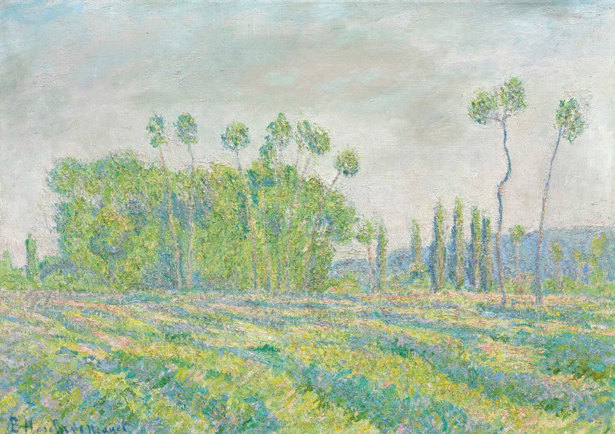 Francese:  Giverny, Peupliers des Ajoux da Blanche Hoschede Monet