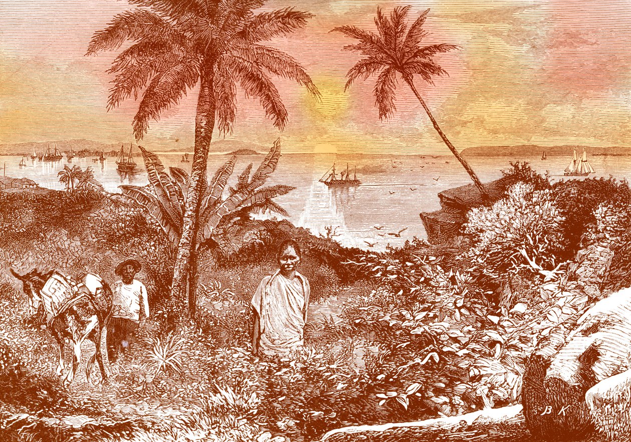 La Baia di Panama da Bohuslav Kroupa