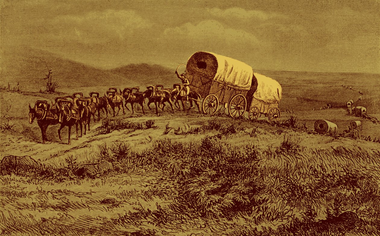 Far West - carovana di muli verso ovest da Bohuslav Kroupa