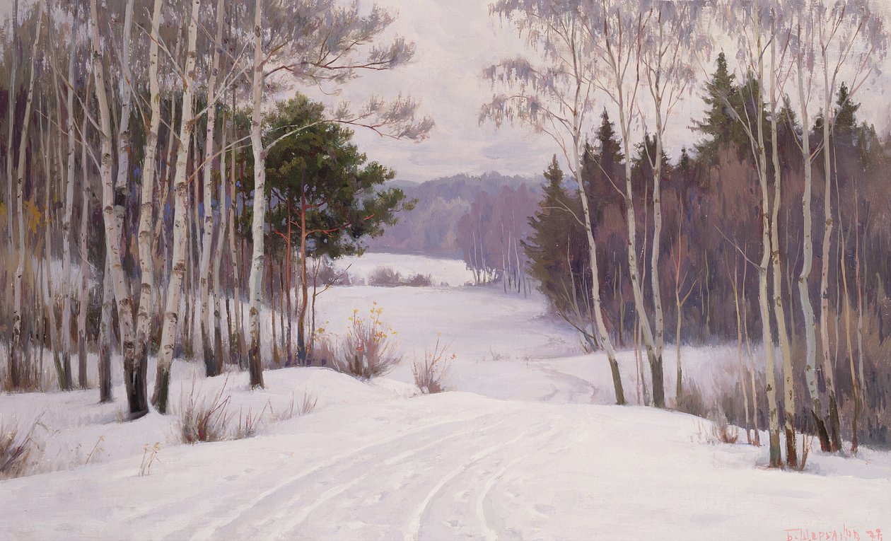Sentiero nel bosco in inverno da Boris Walentinowitsch Scherkow