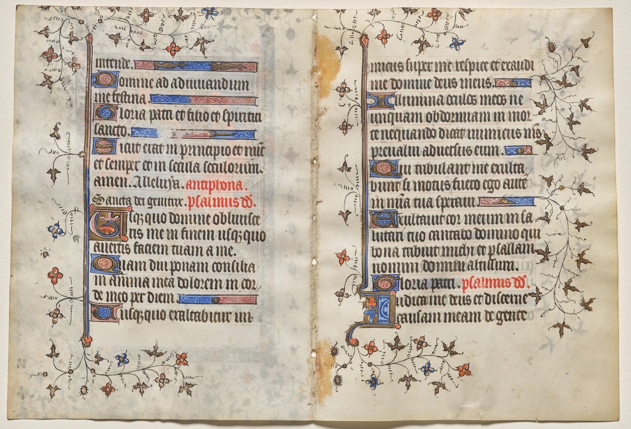 Bifolio di un Libro d
