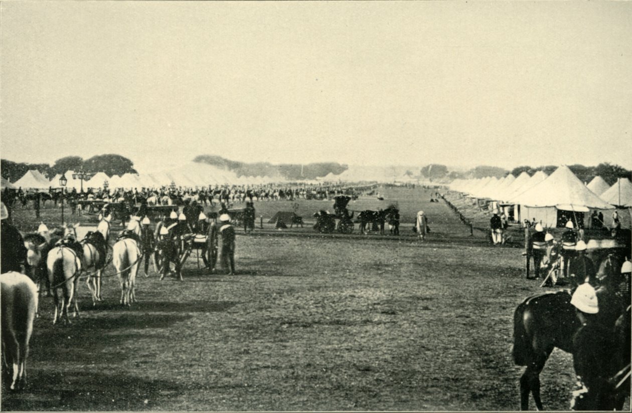 Il campo del viceré all