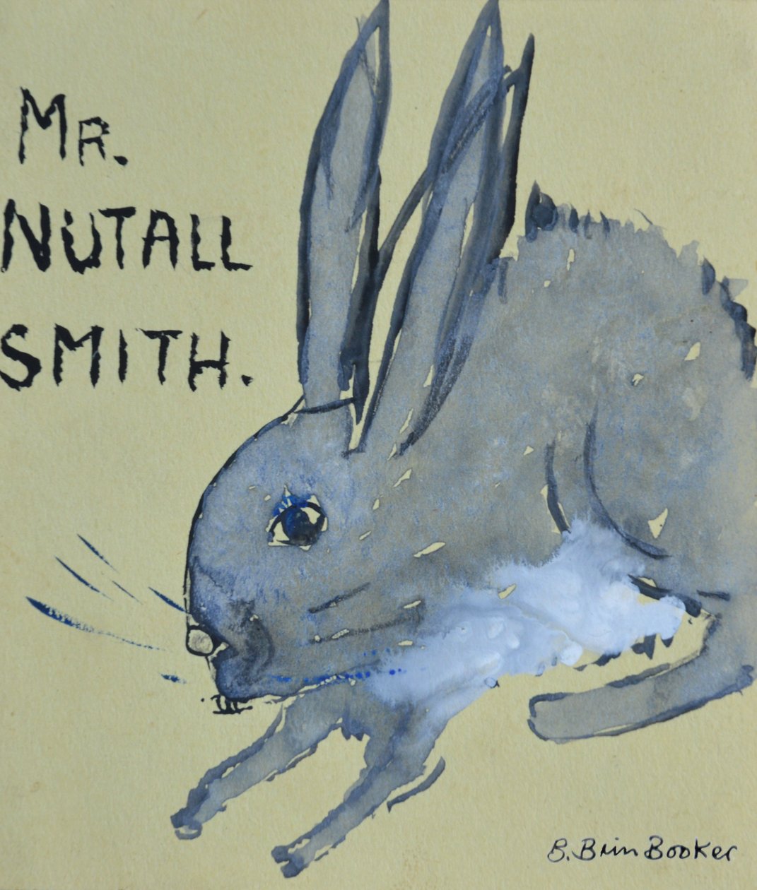 Un Coniglio chiamato Mr Nutall Smith da Brenda Brin Booker