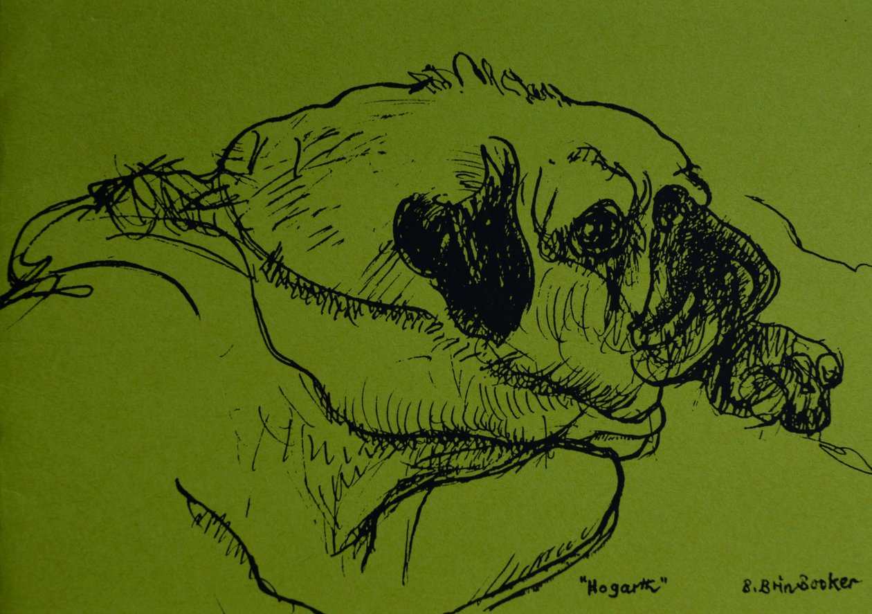 Hogarth da Brenda Brin Booker