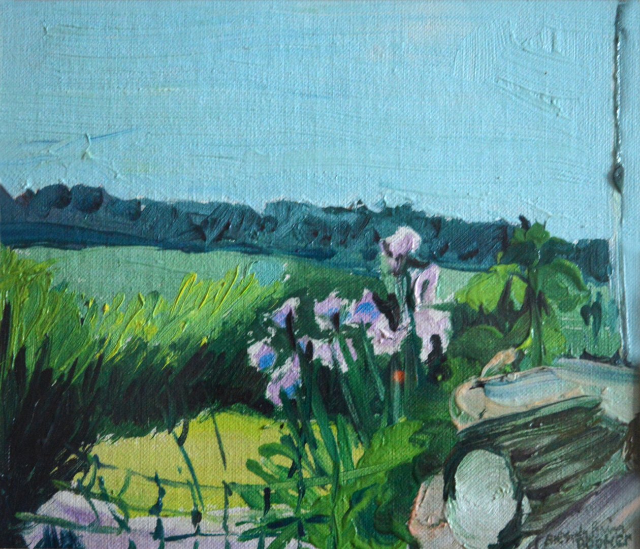 Iris nel giardino da Brenda Brin Booker