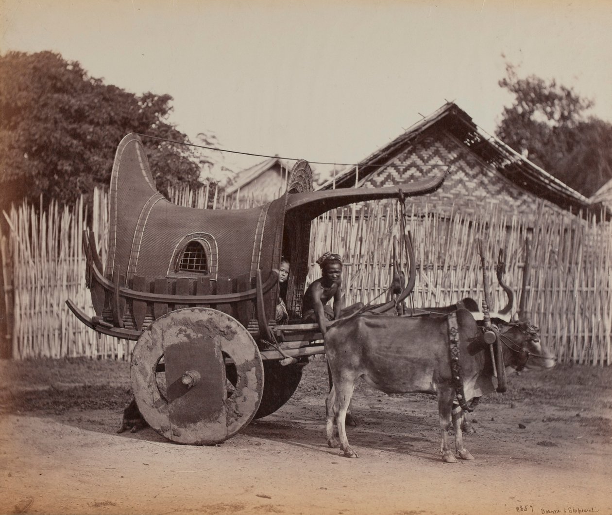Carro di campagna, Birmania (1886-88) da British Photographer