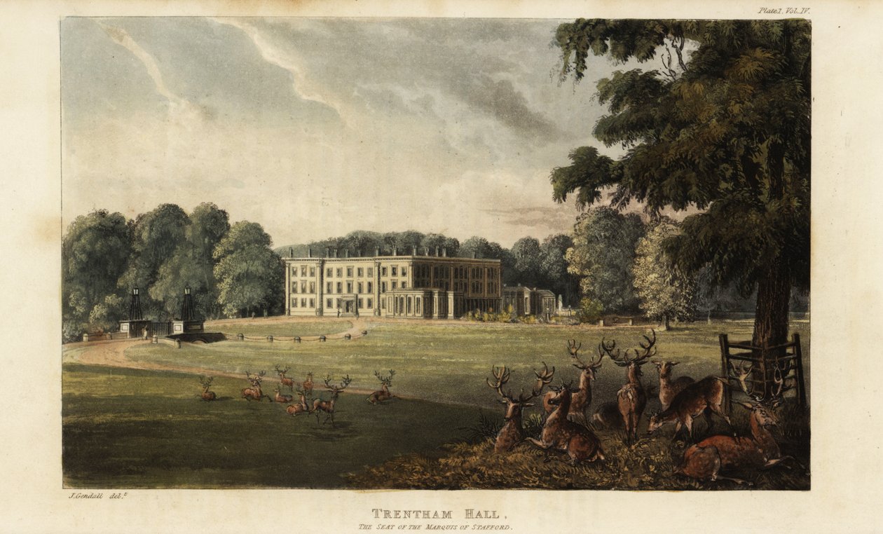Branco di cervi davanti a Trentham Hall da British School