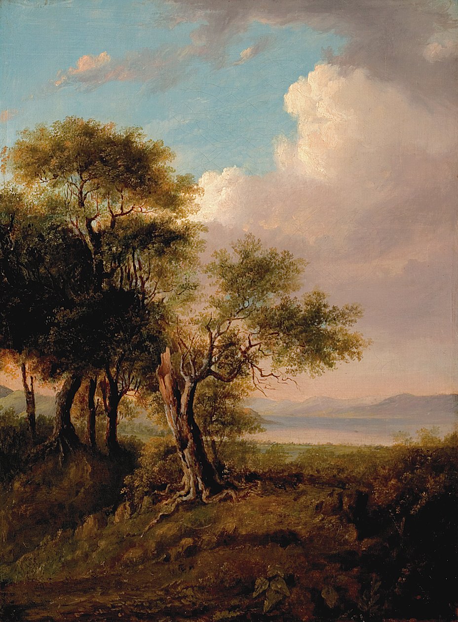 Paesaggio, alberi in primo piano, lago e colline in lontananza da British School
