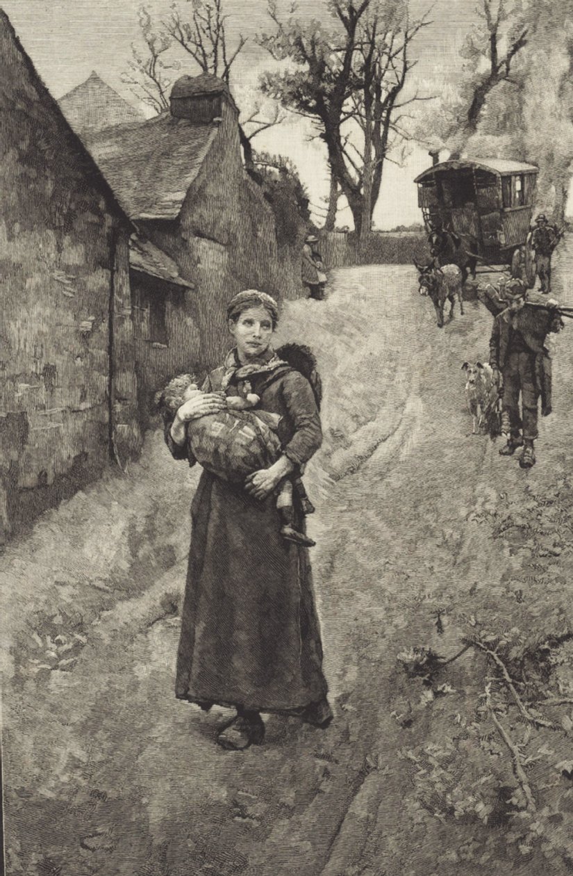 Povera Vedova di Campagna da British School