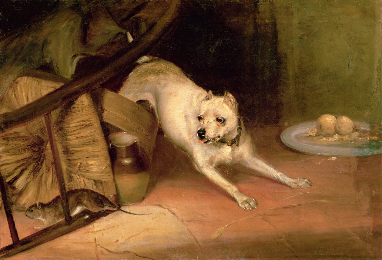Cane che insegue un ratto da Briton Riviere