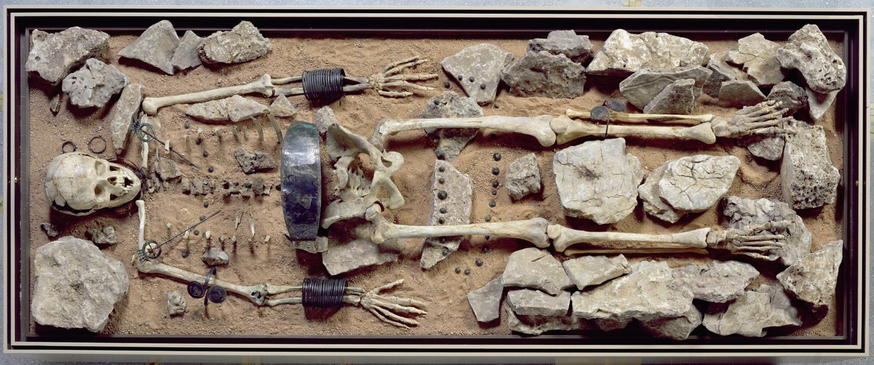 Tomba femminile riccamente dotata da Molzbach bei Huenfeld da Bronze Age