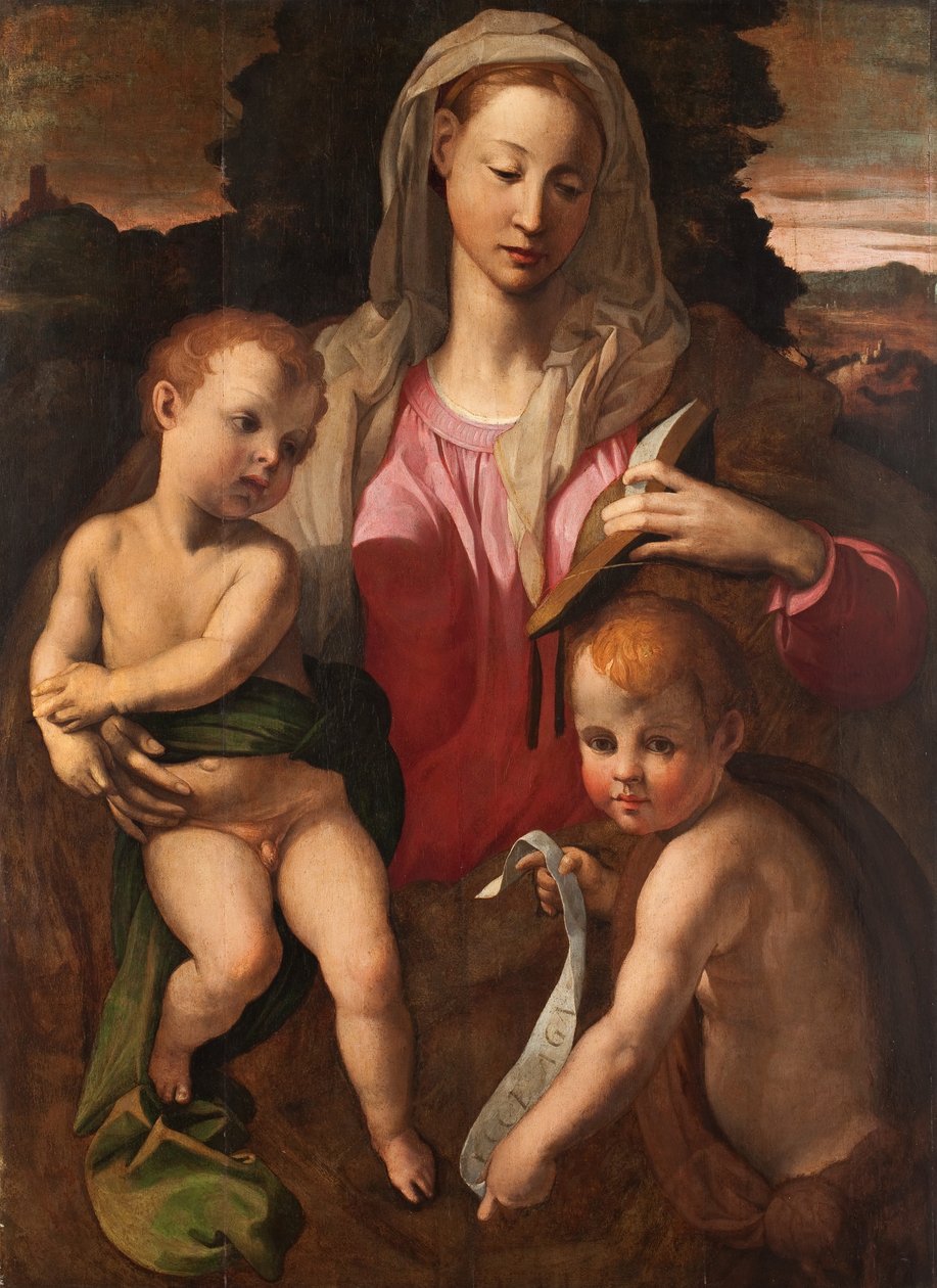 Madonna con Bambino e San Giovanni Battista da Bronzino