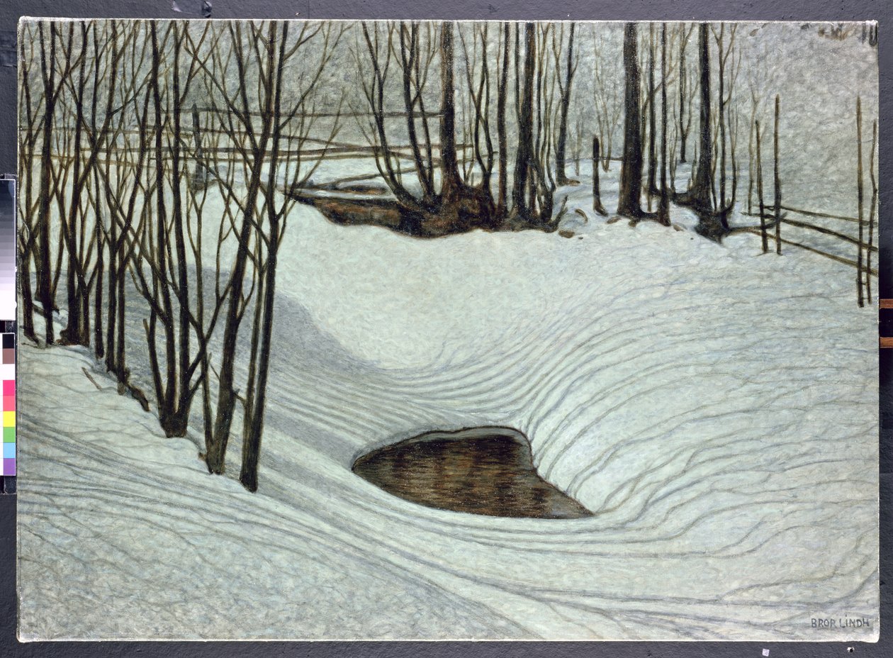 Foresta in inverno, c.1905 da Bror Lindh