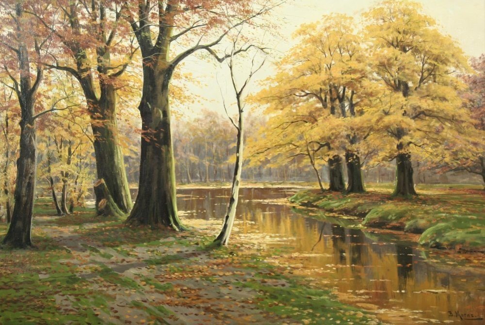 Paesaggio forestale autunnale con corso d