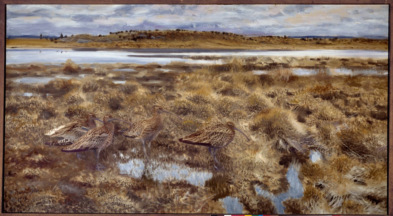 Chiurli Uccelli nelle paludi. Dipinto di Bruno Andreas Liljefors (1860-1939) 1913 Sole. 1,19x2,2 m da Bruno Andreas Liljefors