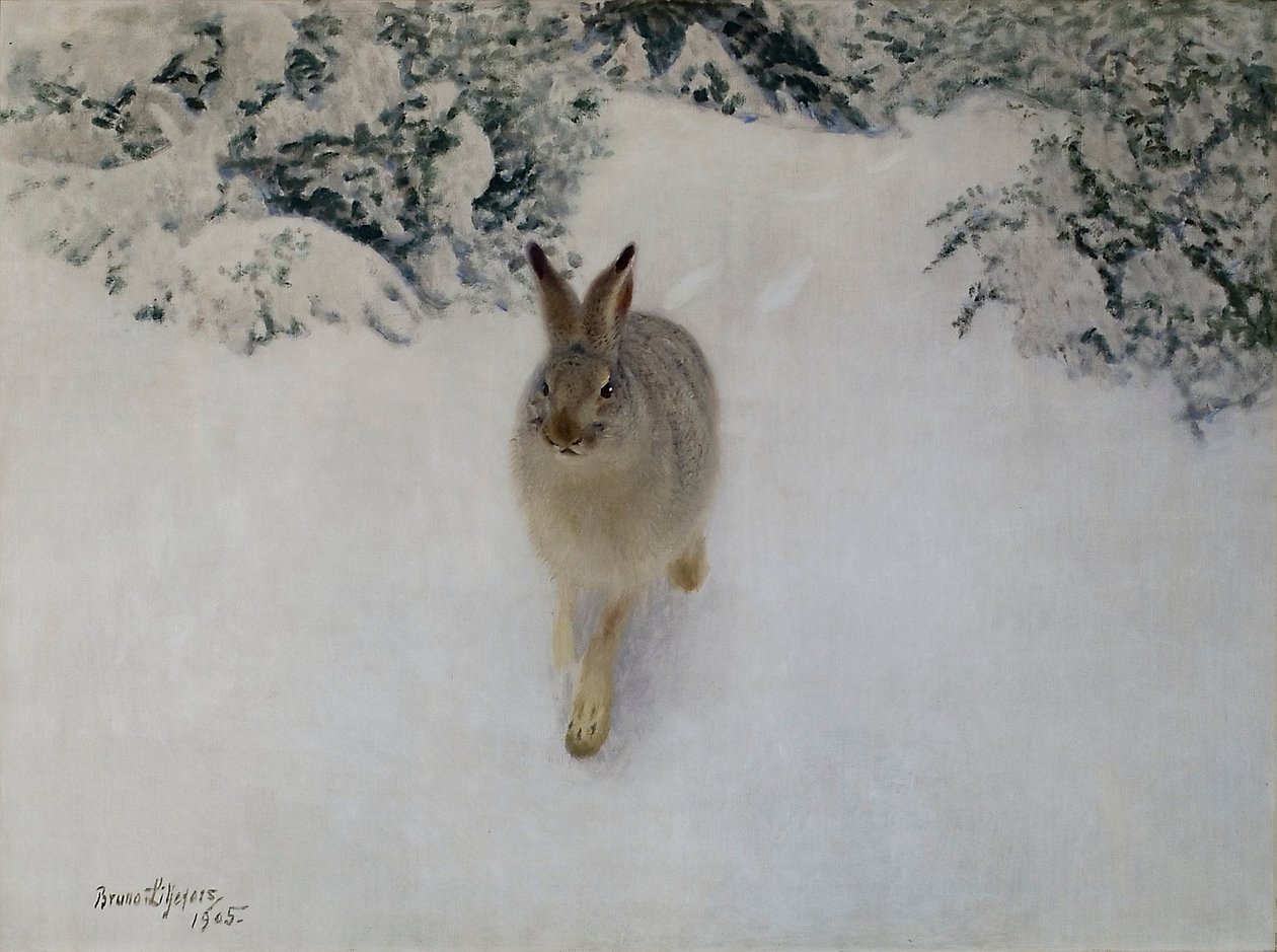 Lepre in Inverno da Bruno Andreas Liljefors