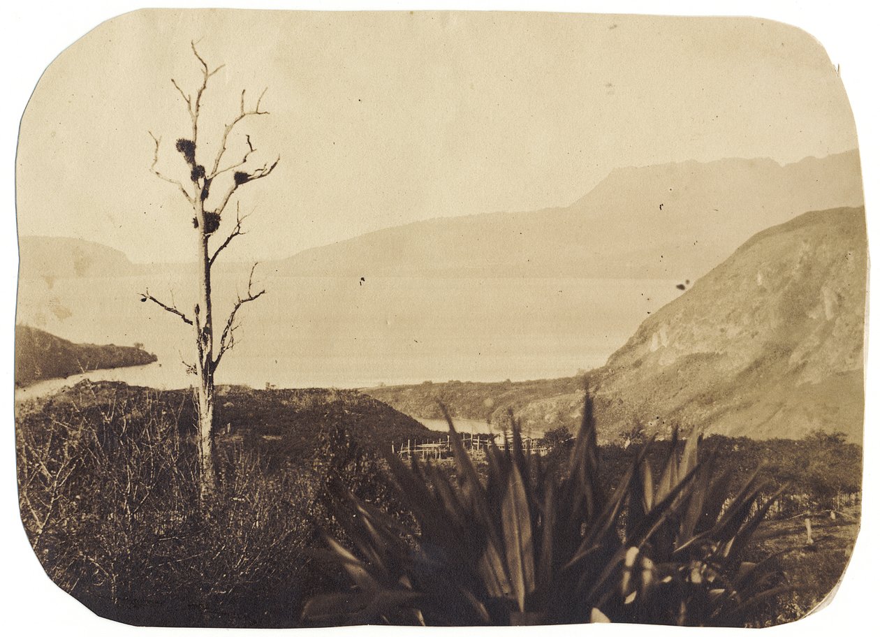 Lago e Monte Tarawera da Te Wairoa, 1860 da Bruno Hamel