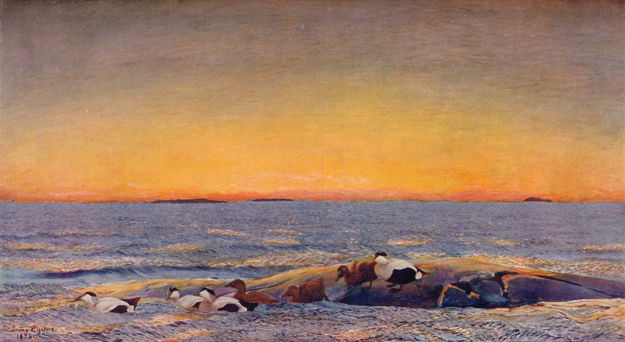 Alba, 1896 da Bruno Andreas Liljefors