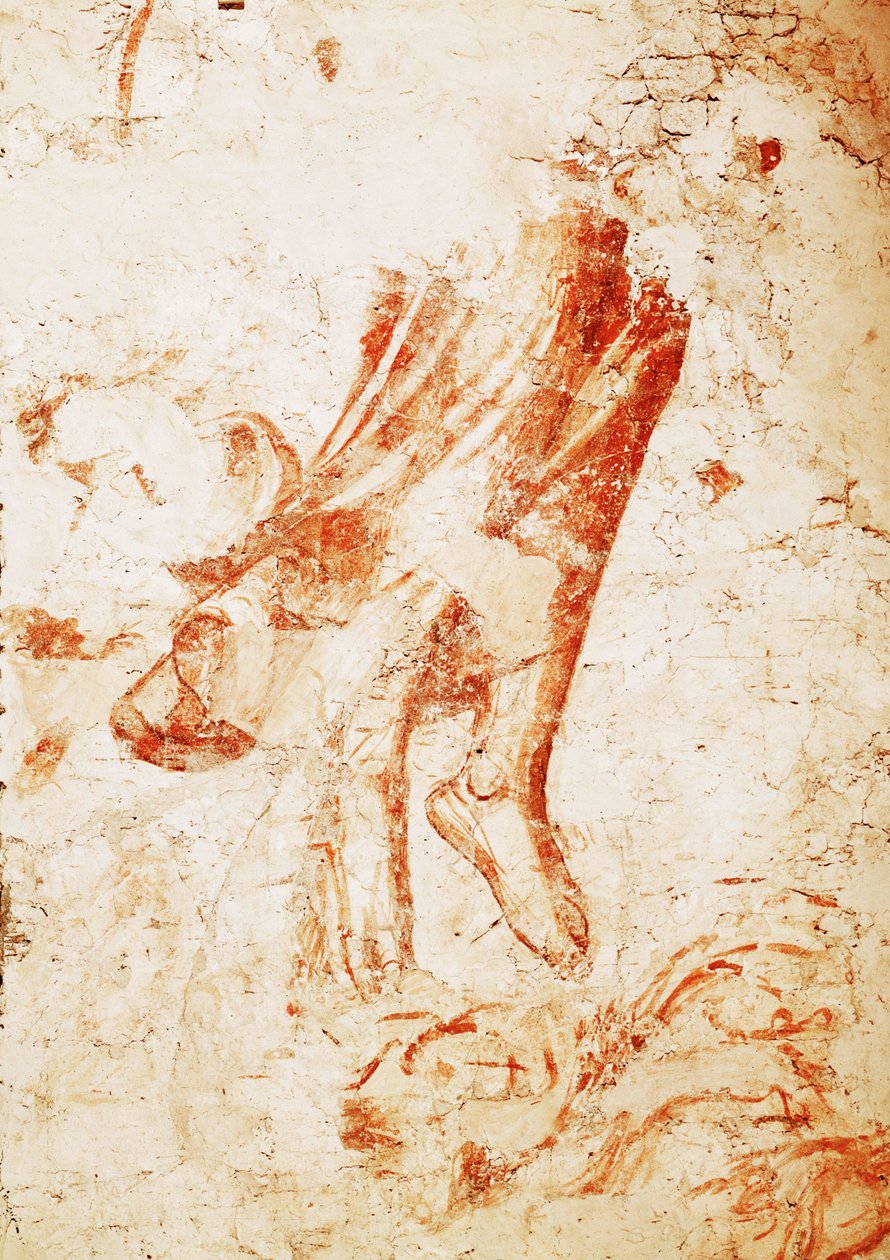 Sinopia con angelo della morte e vescovo... (affresco) da Buonamico Buffalmacco