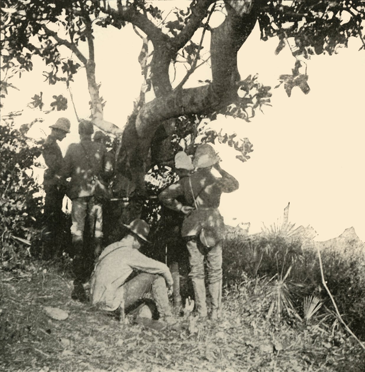 Albero da cui il Capitano Paget...Vide...Battaglia di San Juan, Guerra ispano-americana, giugno 1898, 1899 da Burr McIntosh