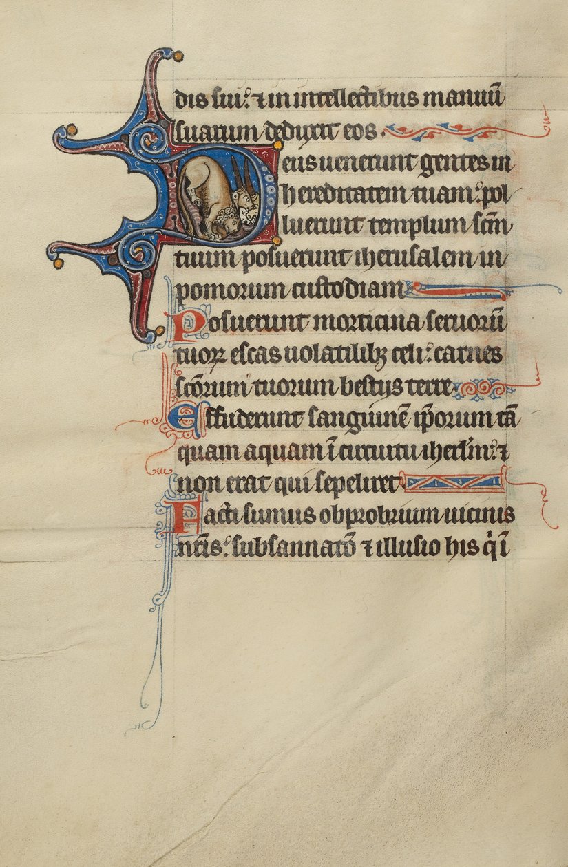 Iniziale D: Un leone e gli unicorni da Bute Master