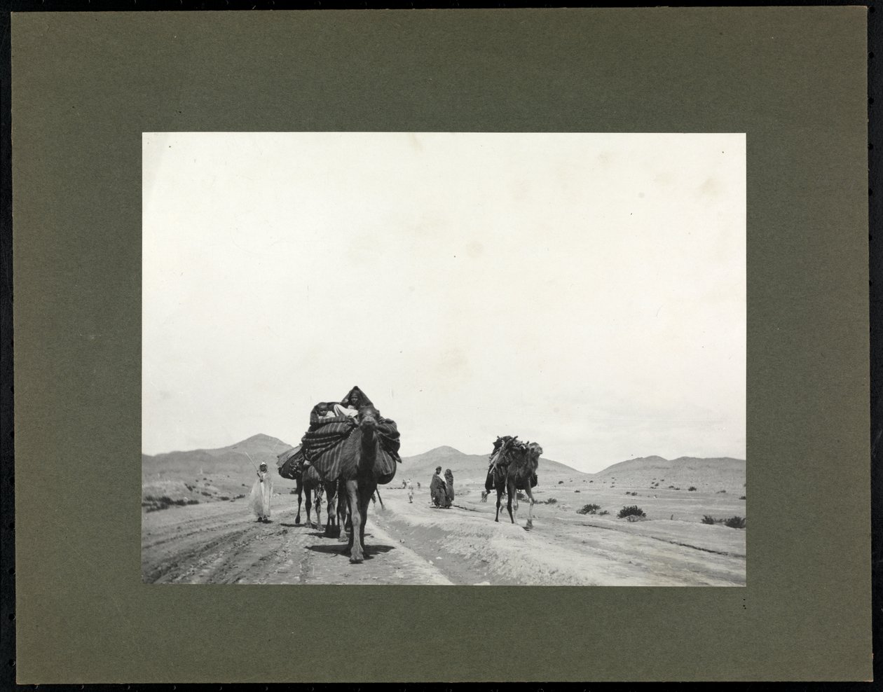 Cammelli su una strada sterrata, presumibilmente in Nord Africa, 1899 da Byron Company
