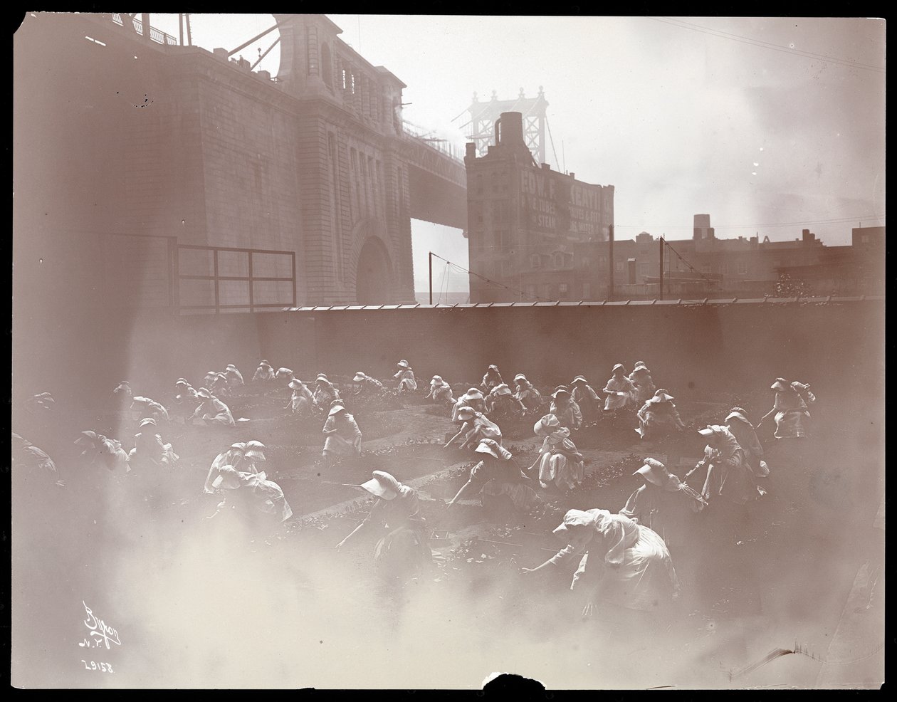 Ragazze che lavorano su un orto sul tetto, visibile il Ponte di Manhattan oltre, New York, 1910 da Byron Company