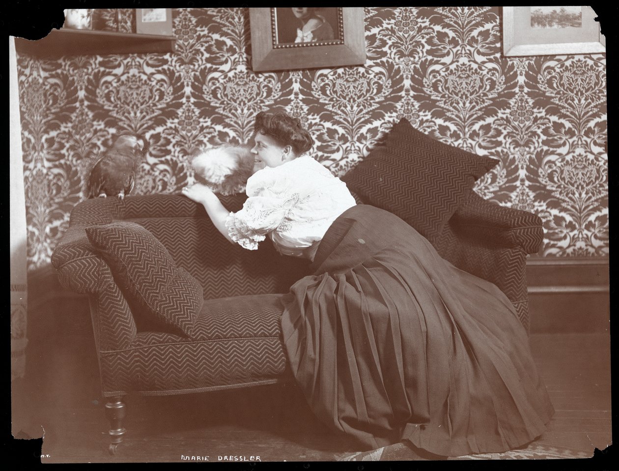 Marie Dressler a casa con cane e pappagallo, 1905 da Byron Company