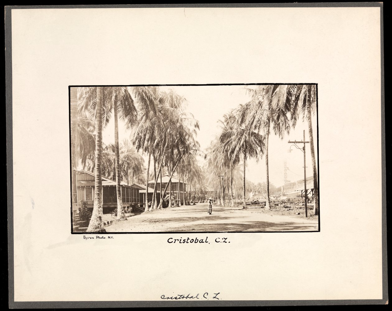 Vista di una strada sterrata fiancheggiata da palme attraverso Cristobal, Panama, durante la costruzione del canale, 1912 o 1913 da Byron Company