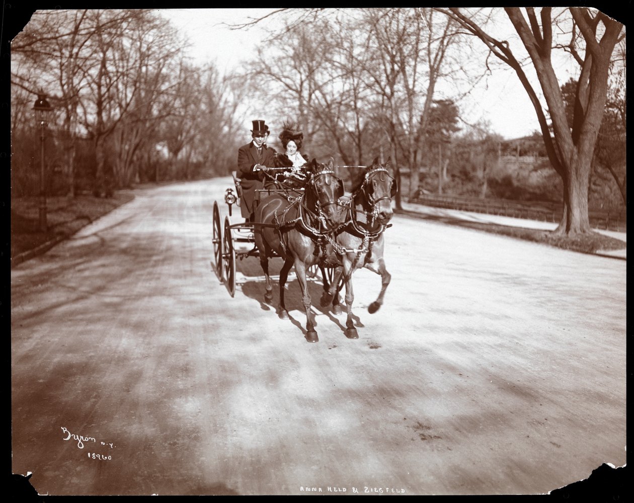 Anna Held e Florenz Ziegfeld in carrozza a cavalli, New York, 1904 da Byron Company