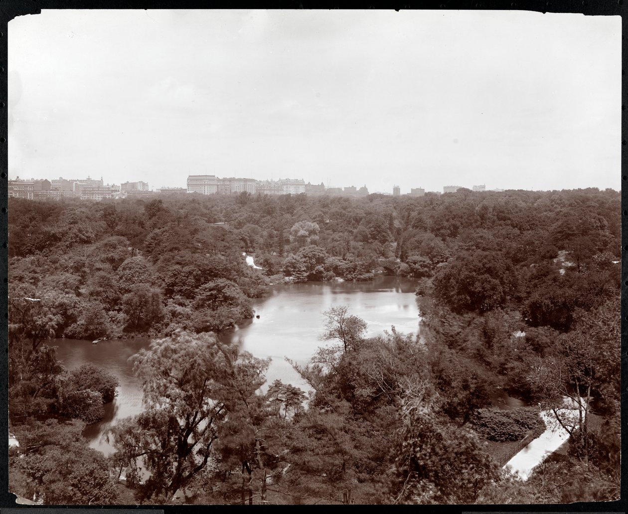 Vista di Central Park dall