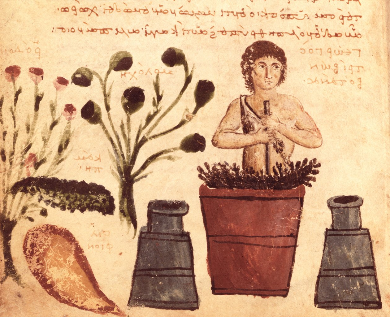 Un contadino prepara un unguento per proteggersi dai serpenti, dal Theriaca di Nicandro di Colofone (fl. II secolo a.C.) da Byzantine