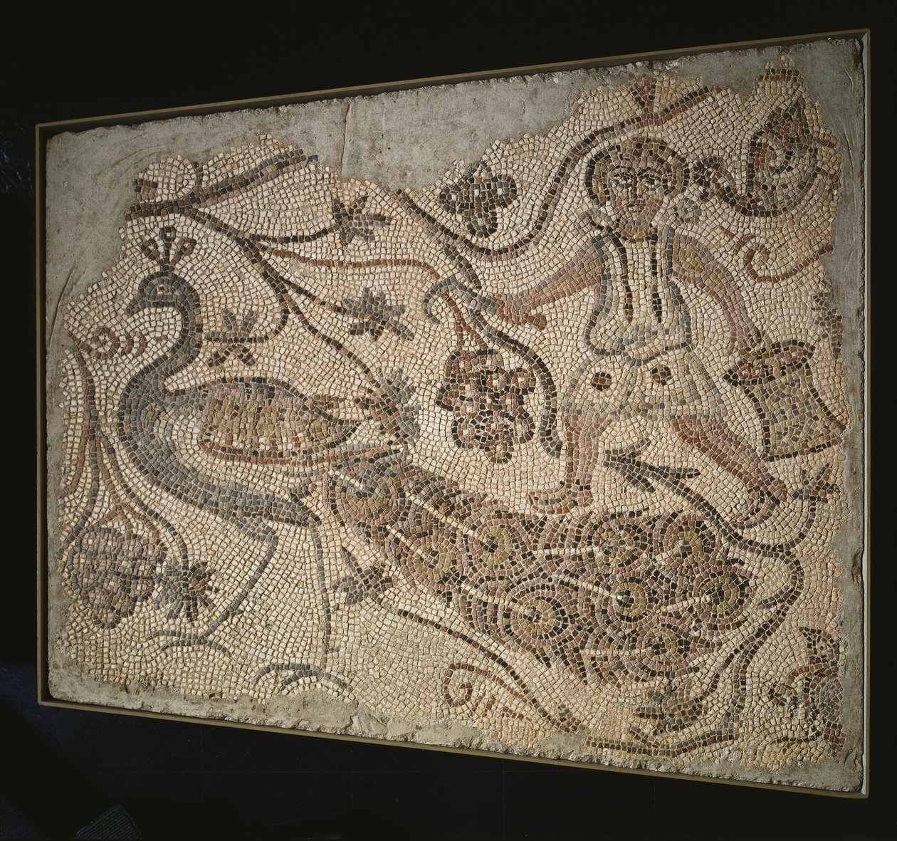 Pannello di mosaico a pavimento: Vendemmiatore con pavone, 400s da Byzantine