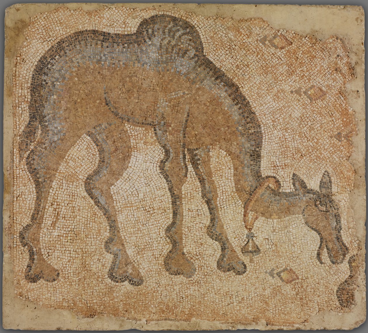 Frammento di mosaico con cammello al pascolo da Byzantine