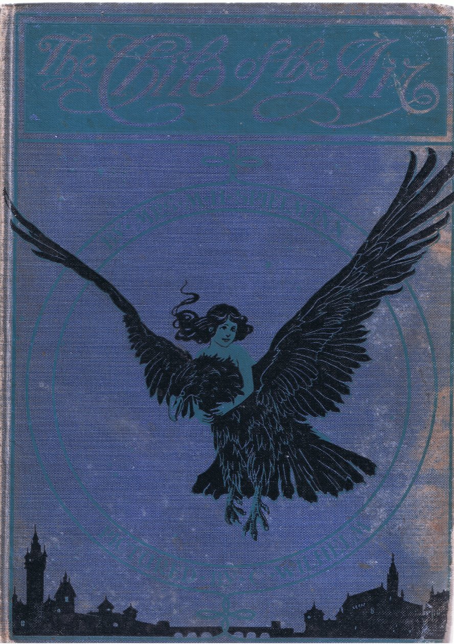 Disegno della copertina anteriore, da Il bambino dell