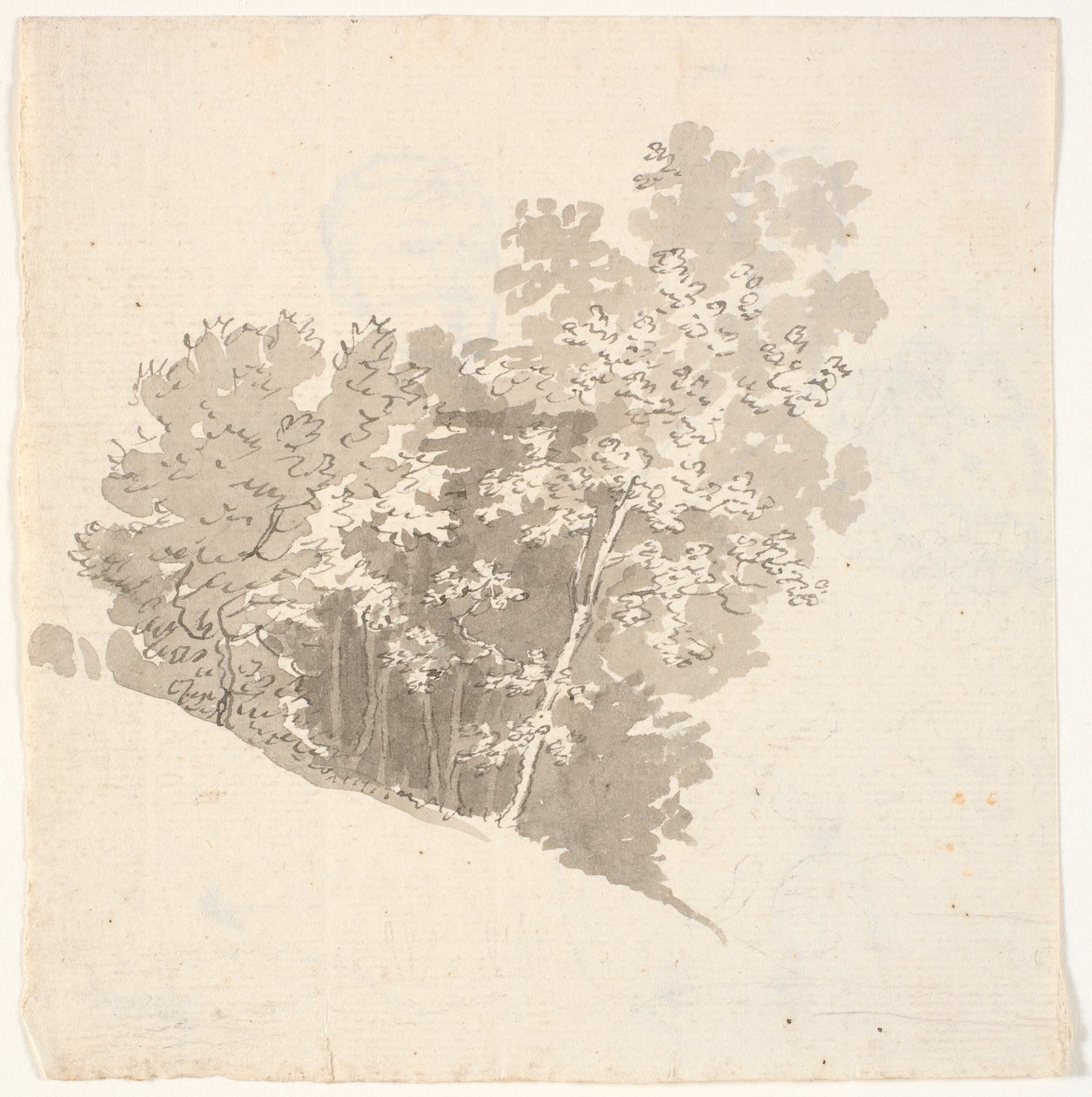 Gruppo di alberi da C.A. Lorentzen
