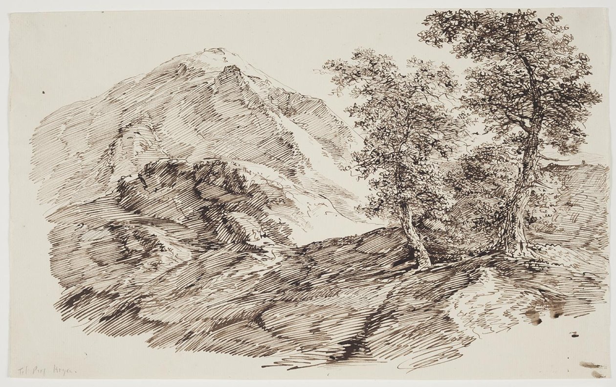 Paesaggio montano con alberi da C.F. von Rumohr