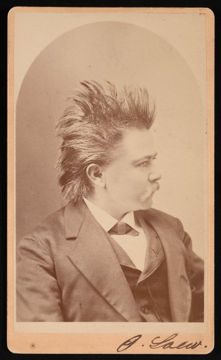 Ritratto di Oscar Loew, circa 1876 da CH McCallister