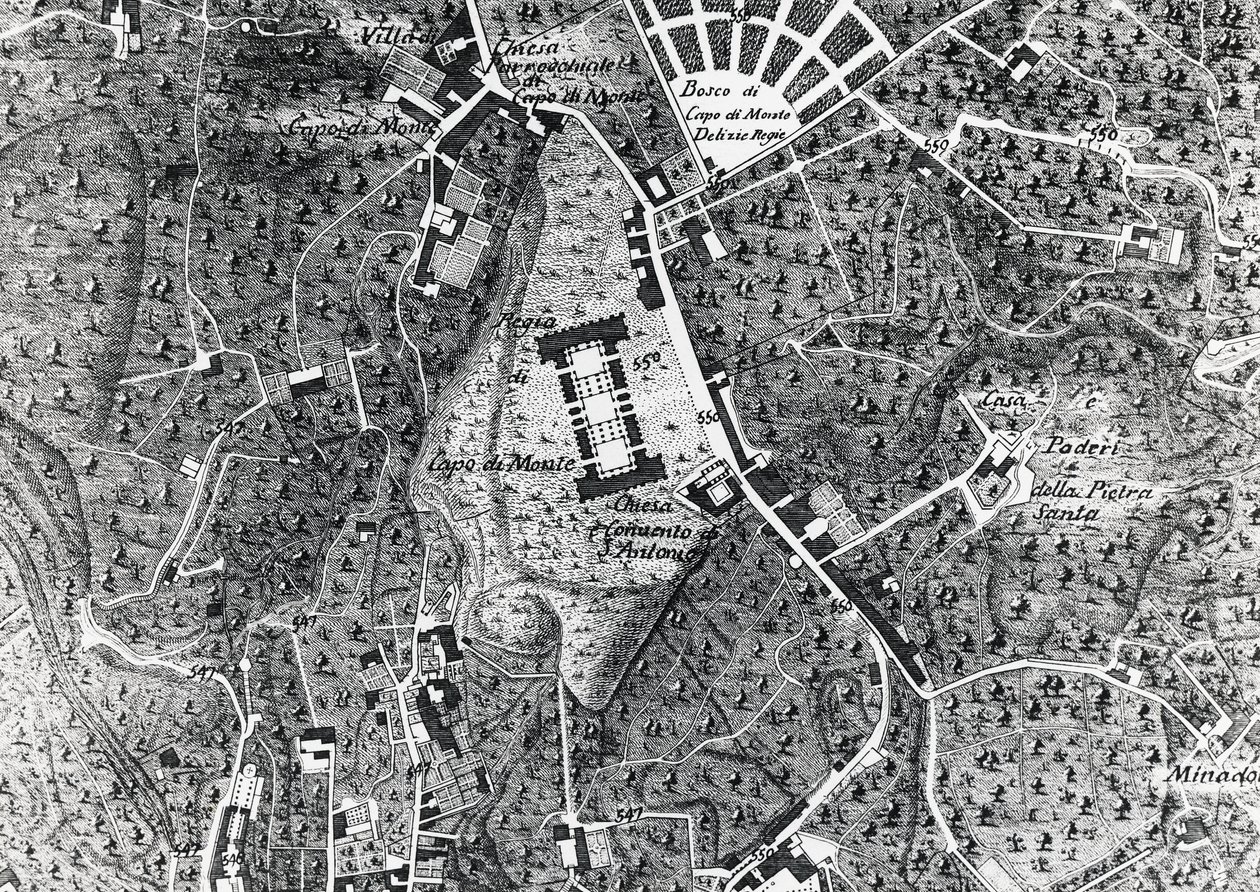 Mappa della città di Napoli con Capodimonte, (dettaglio) da J.B. and Brown J. Rowbotham