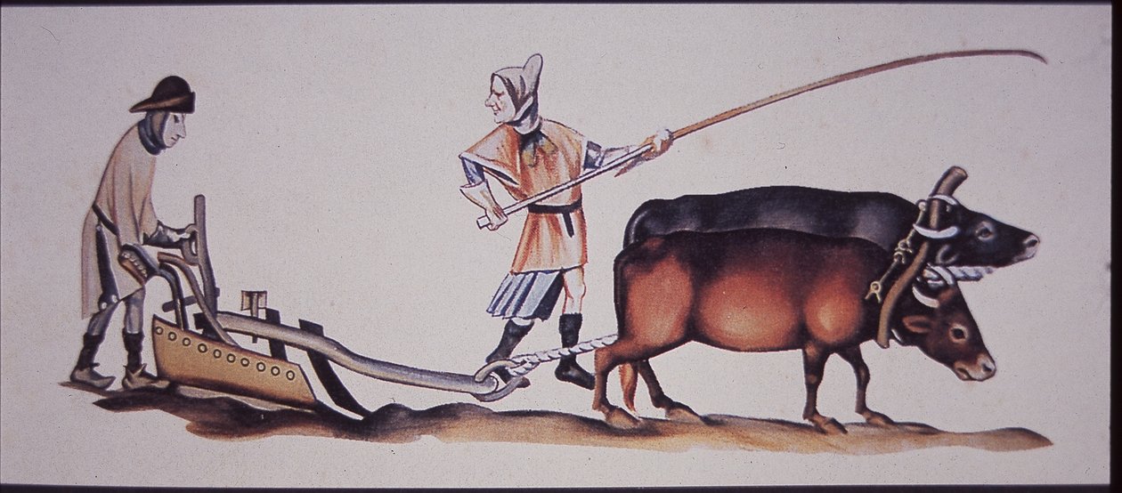 Uomini medievali che arano con buoi, da una scena del Luttrell Psalter da J.B. and Brown J. Rowbotham