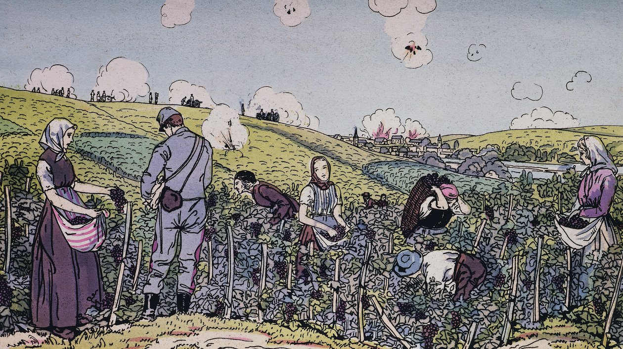 I nostri viticoltori raccolgono sotto il fuoco, la vendemmia nella regione della Champagne nel 1914, Prima Guerra Mondiale da J.B. and Brown J. Rowbotham